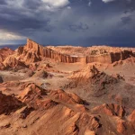 Les Fleurs et l’Adieu : un Langage Universel de Paix et de Sérénité