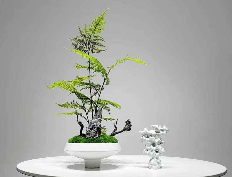 Jardin Miniature “Mousse de Jade”