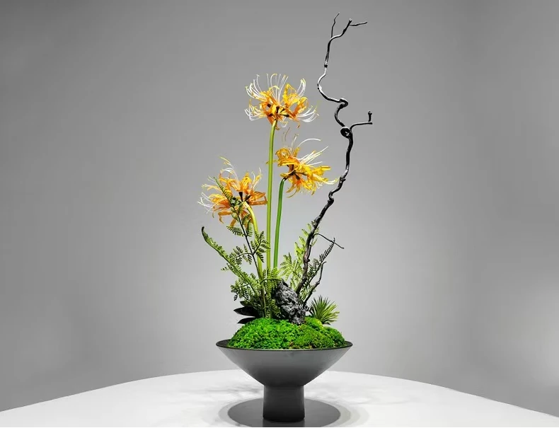 “Rocher Song” – Microcosme