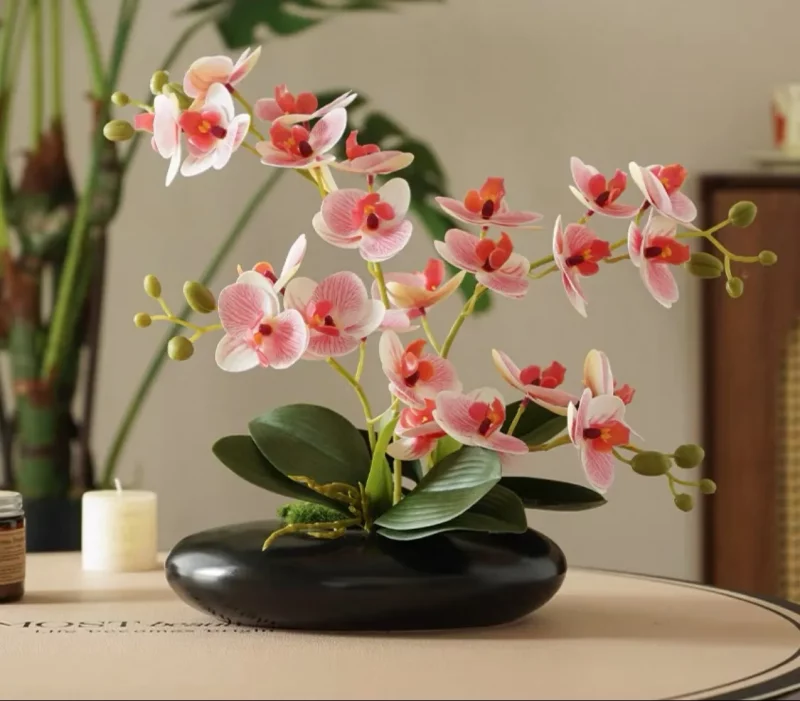Orchidées en différents coloris – Base porcelaine plate