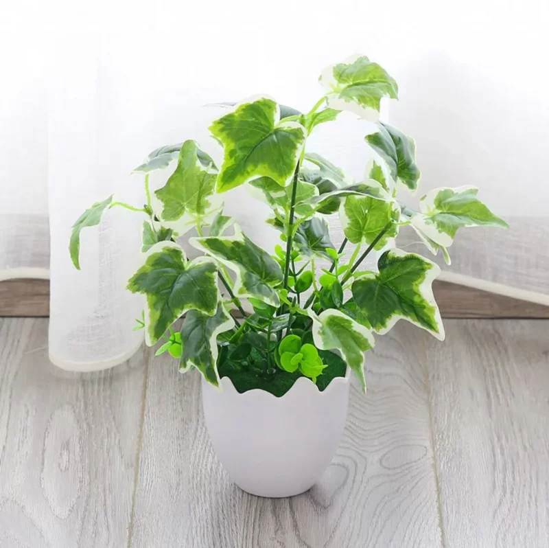 Plante verte artificielle de qualité – Coquille d’œuf et feuilles de patate douce bord blanc