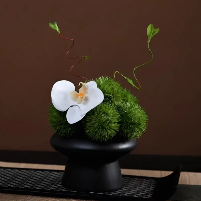 Composition “Brise d’été” – orchidée blanche et pissenlits vert