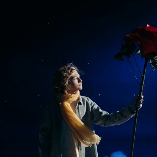 Les Fleurs dans les Contes et Mythologies : Symboles d’Amour, de Vie et de Renaissance