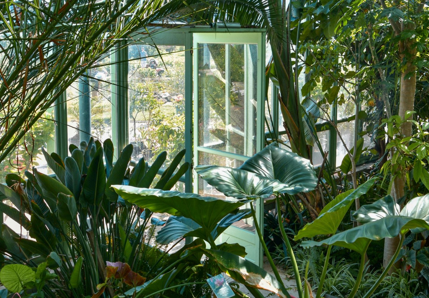galerie botanique musée histoire naturelle paris
