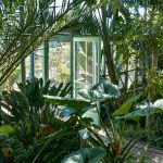 Coup de Cœur Musée : La Galerie de Botanique du Muséum National d’Histoire Naturelle