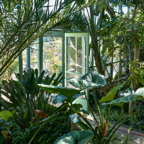 Coup de Cœur Musée : La Galerie de Botanique du Muséum National d’Histoire Naturelle