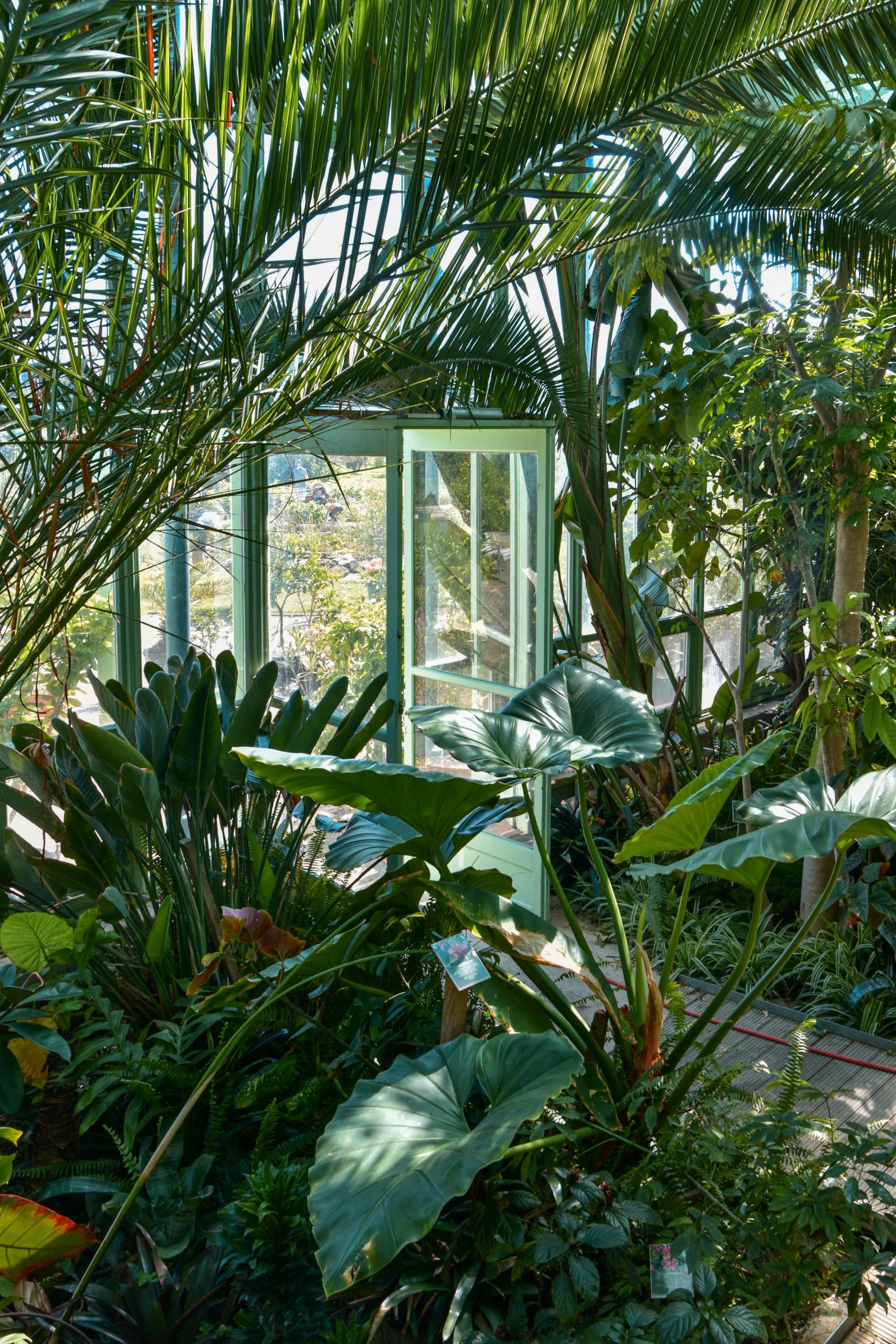 galerie botanique musée histoire naturelle paris