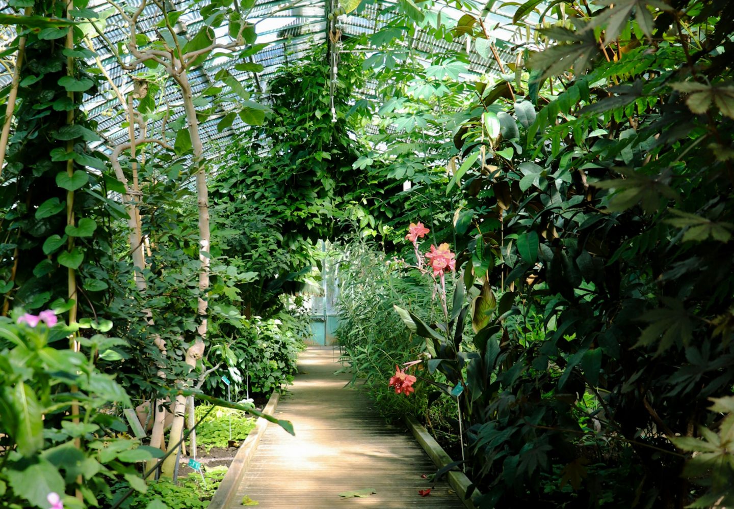 jardin-botanique