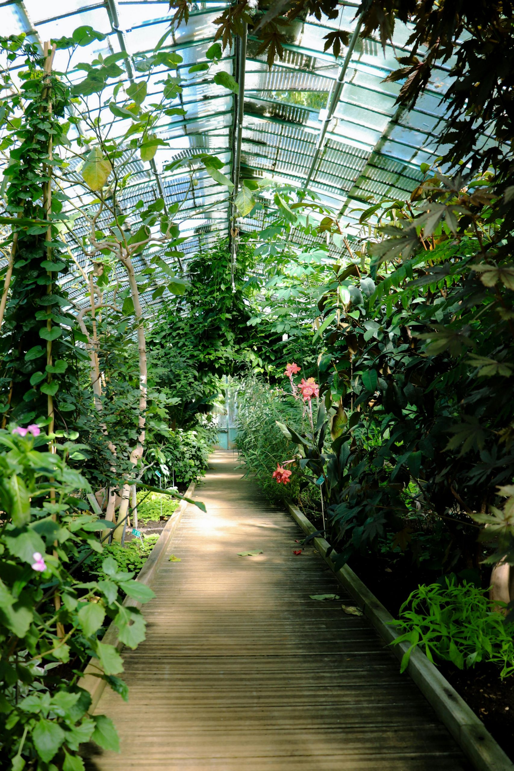 jardin-botanique