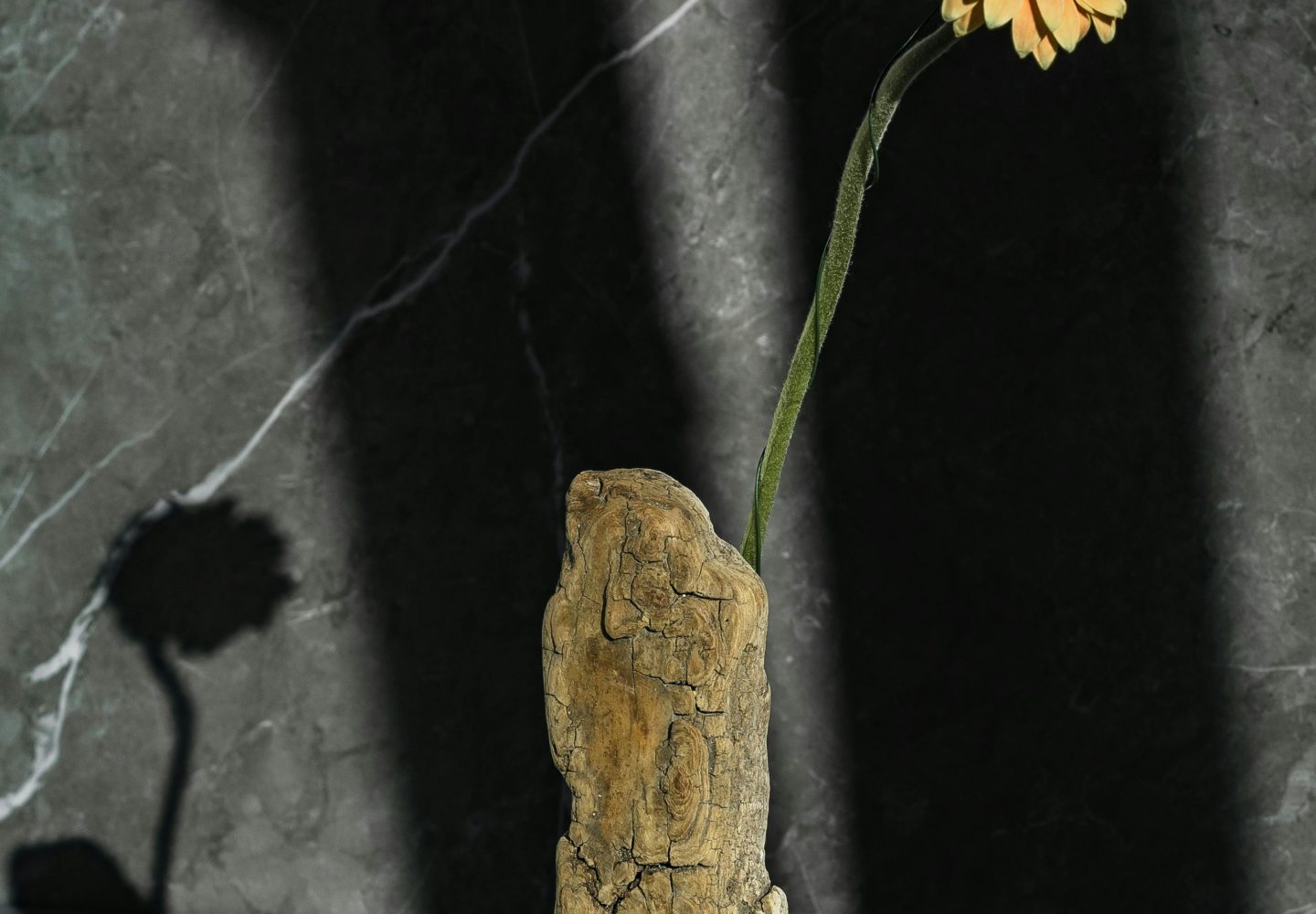 socle