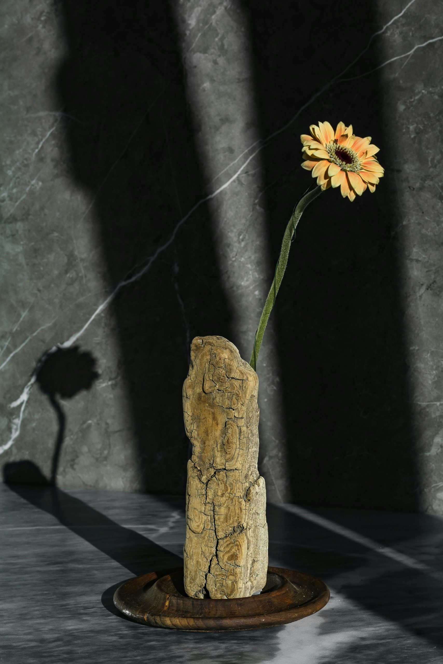 socle
